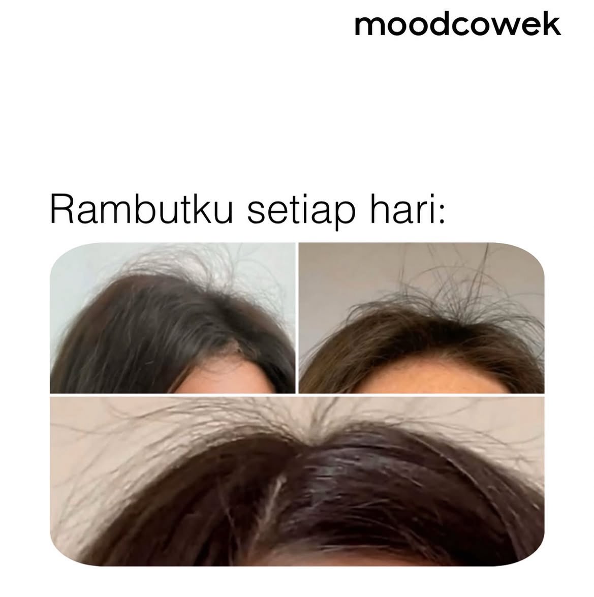 Teman Cerita tweet media