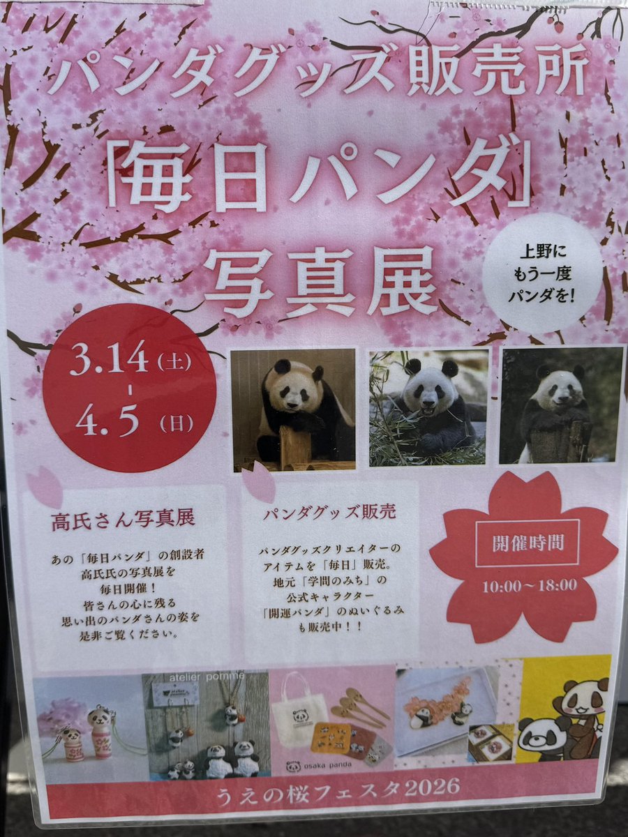 毎日パンダ tweet media