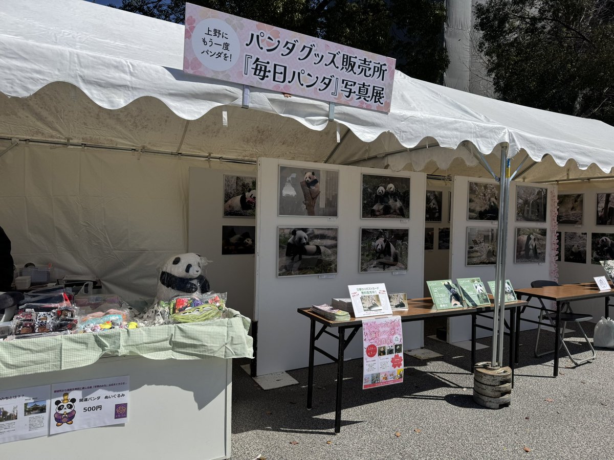毎日パンダ tweet media