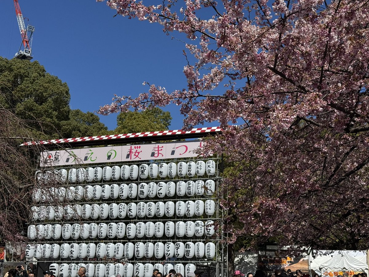 毎日パンダ tweet media