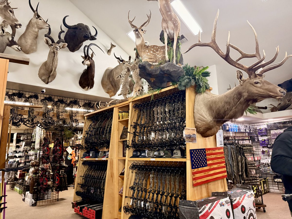 Dale Stark tweet media