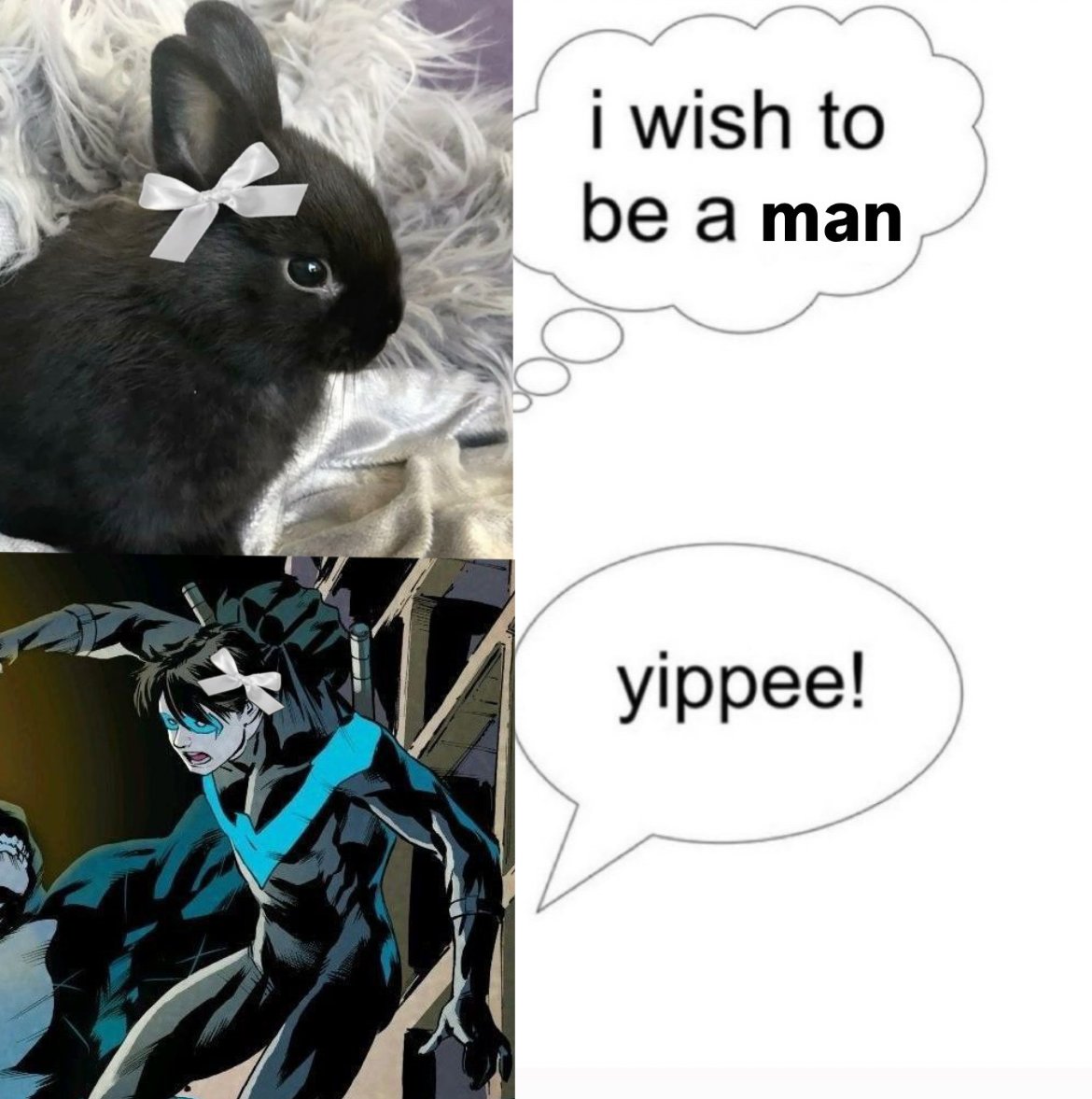 Zakkun nih๐ OPEN COMMS tweet media