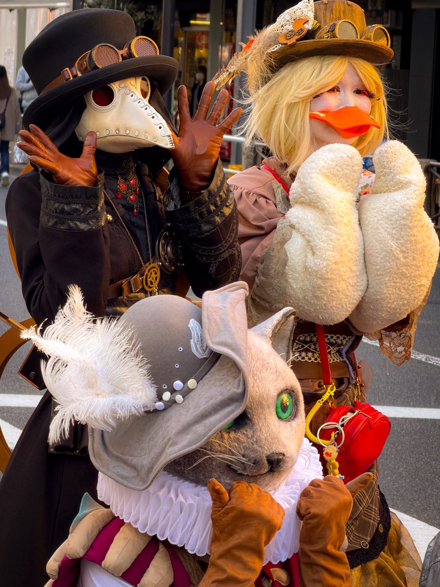 chika_crunk's tweet photo. フィナーレ終わりの夕暮れ記念撮影タイム3ショットなペストリカさん&amp;おもちゃのあひるパトさん&amp;猫のアーサーさん✨🐧🪿🐈‍⬛✨
#エンカメ
#PESTRiCA https://t.co/JF9HTfYyoC