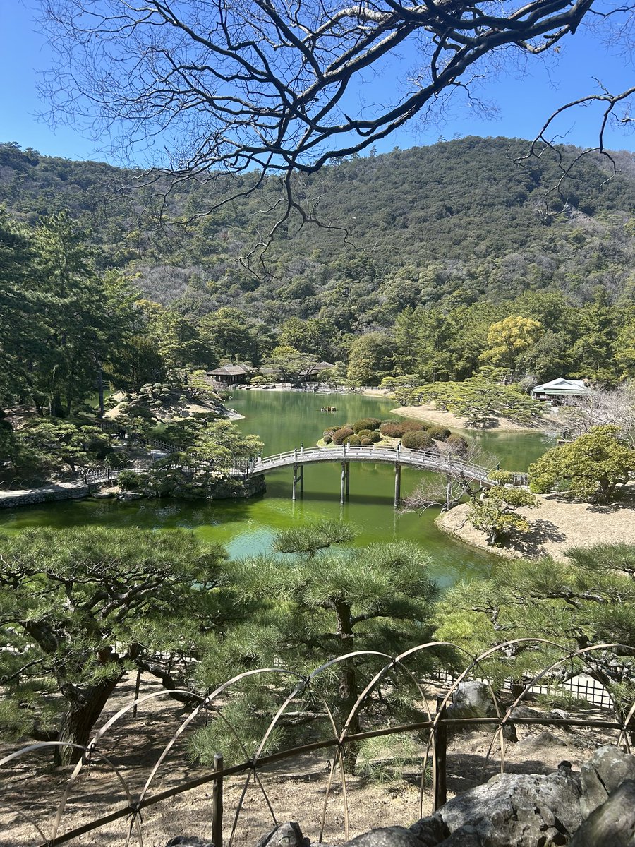 miiaaaa_llq's tweet photo. 栗林公園歩いてる🌳
天気よくて気持ちいい(⸝⸝´꒳`⸝⸝) https://t.co/kOuhBqD7Kj