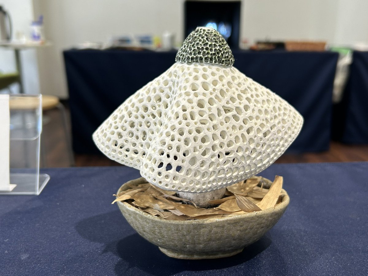 吉祥寺・ギャラリー永谷で開催中の渋谷さんの個展行ってきました🍄
きのこの服着てローアングルから舐めるように見てた変態はわたくしです。きのこ好きが唸るこだわりポイントが盛りだくさんですよ！！
#きのこ盆栽