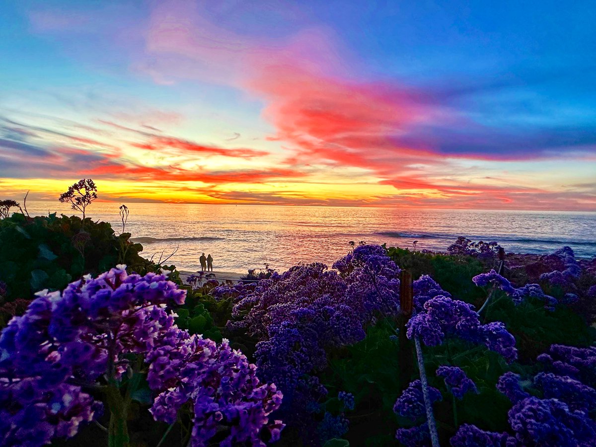 Karen 🌞🌻🐤 tweet media