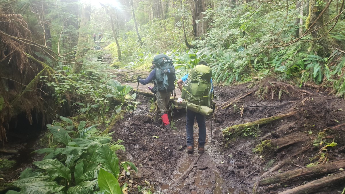 coastalbliss's tweet image. Walking the beaches of Cape Scott can feel endless in the best possible way. Sand stretches for miles while the Pacific crashes against the shoreline beside you. 🌊 #CapeScott #BackpackingAdventure f.mtr.cool/aninmranmf