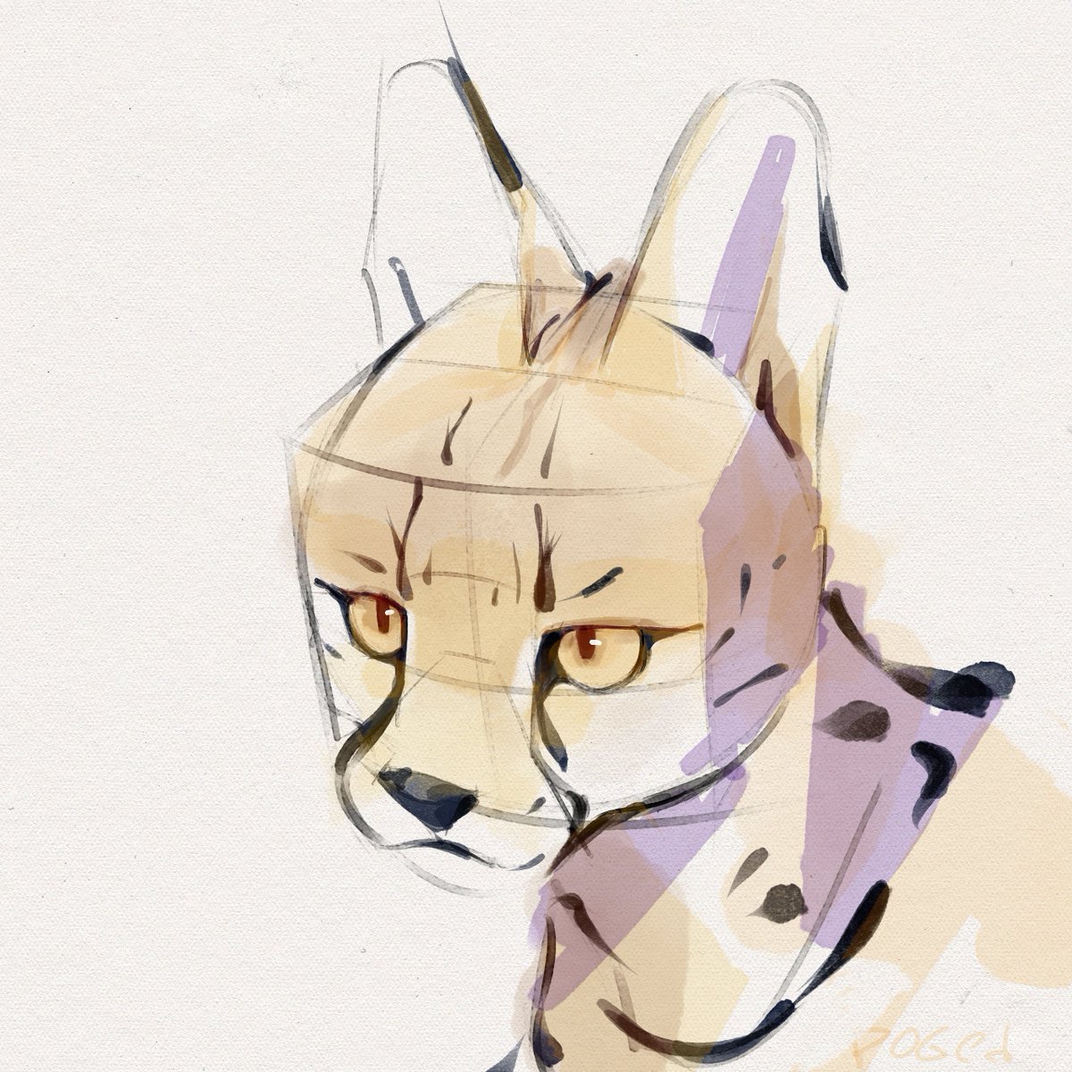 Doged (not that doge) tweet media