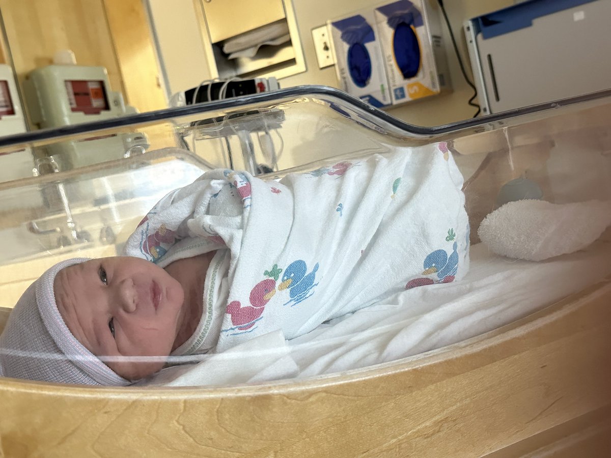 Sheharm ❄️ tweet media