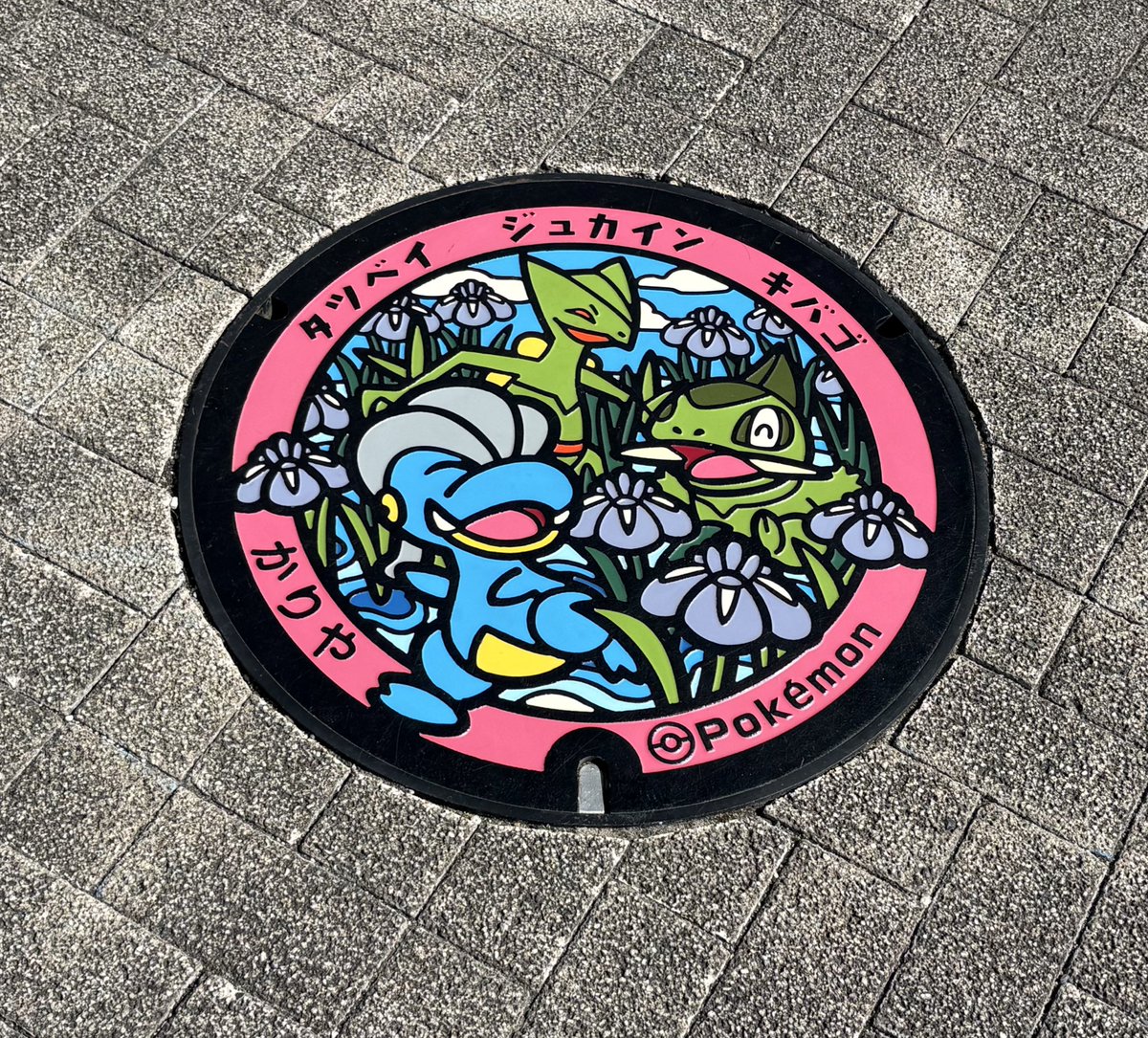 あきまる。 tweet media