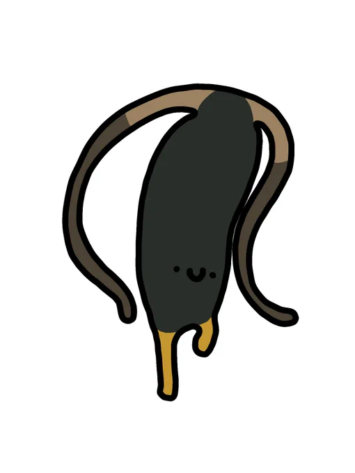 ヒゲナガウスバハムシ