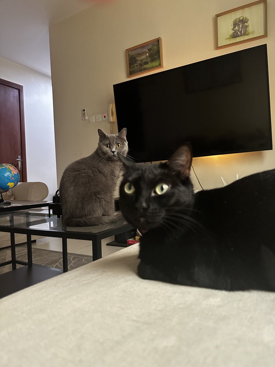 誇りに tweet media