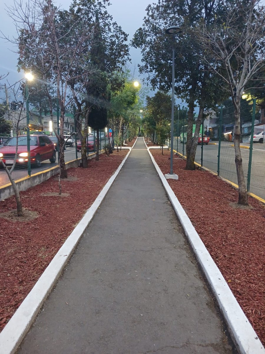 Daniel Albarrán tweet media