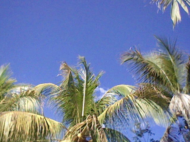 wenliotzy🔭 tweet media