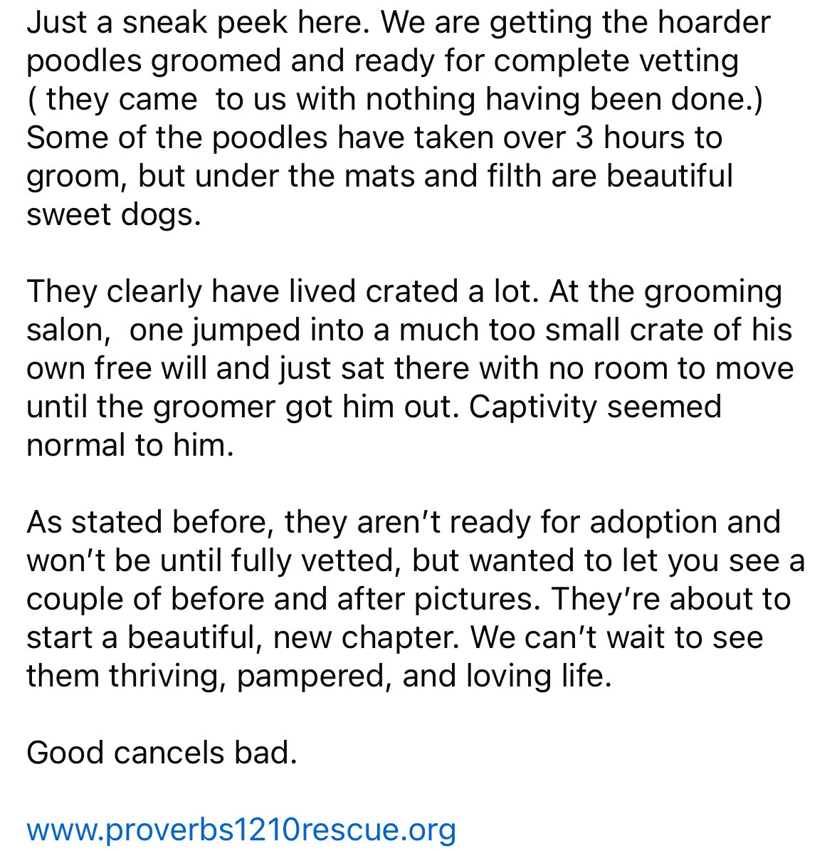 Proverbs 12:10 Animal Rescue tweet media