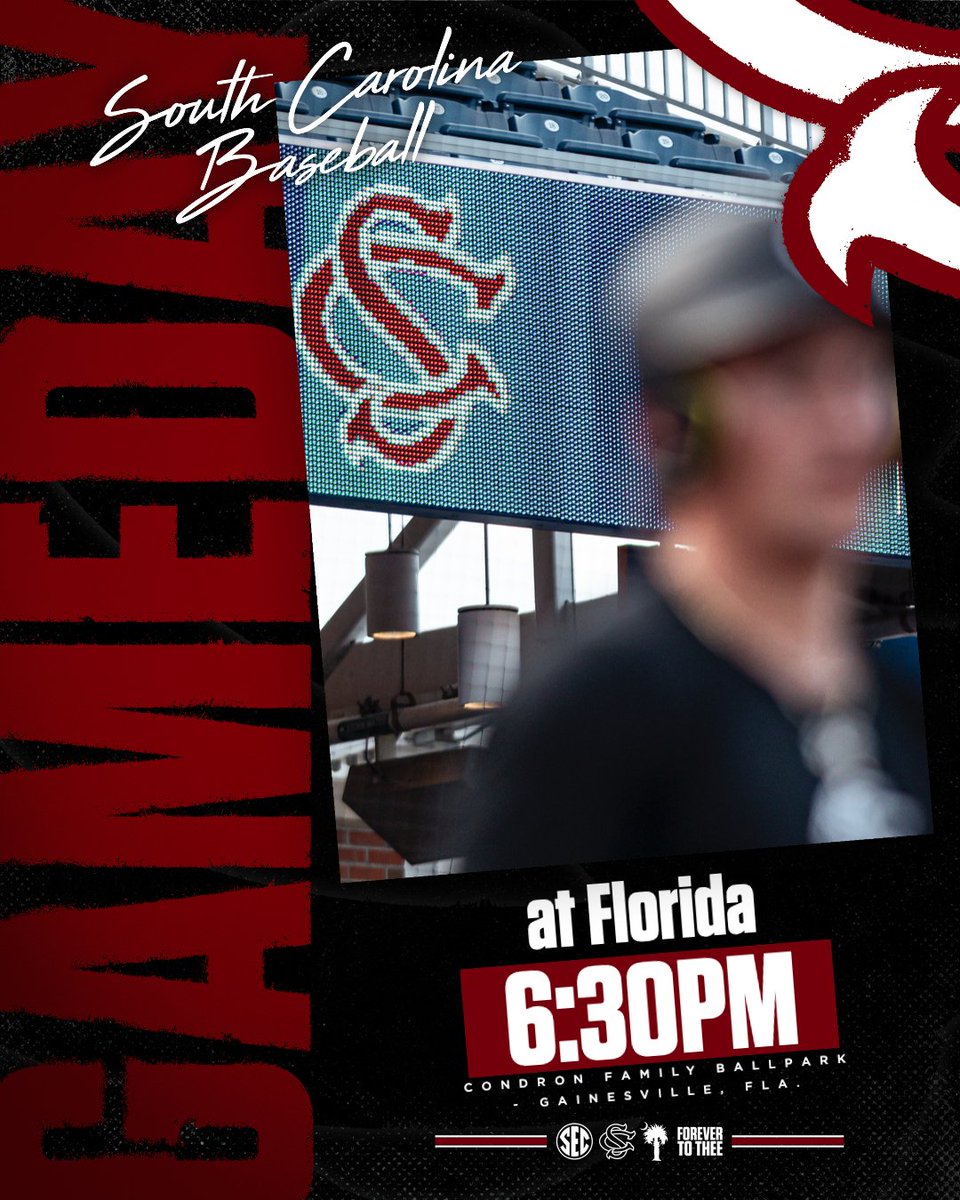 South Carolina Baseball tweet media