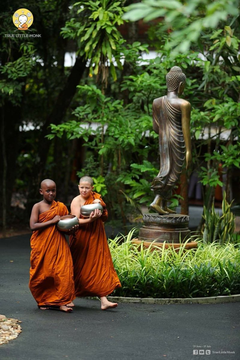 Thinley Wangyal tweet media