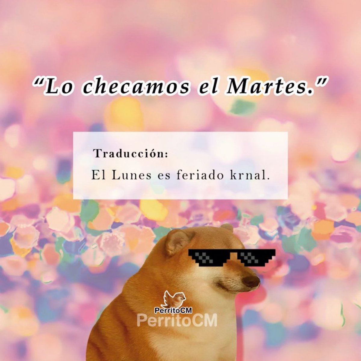 Lic perrito kpooper tweet media