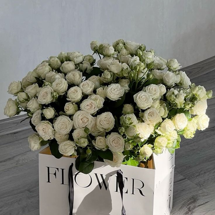 .. 黒羽、 ICHIROU. tweet media