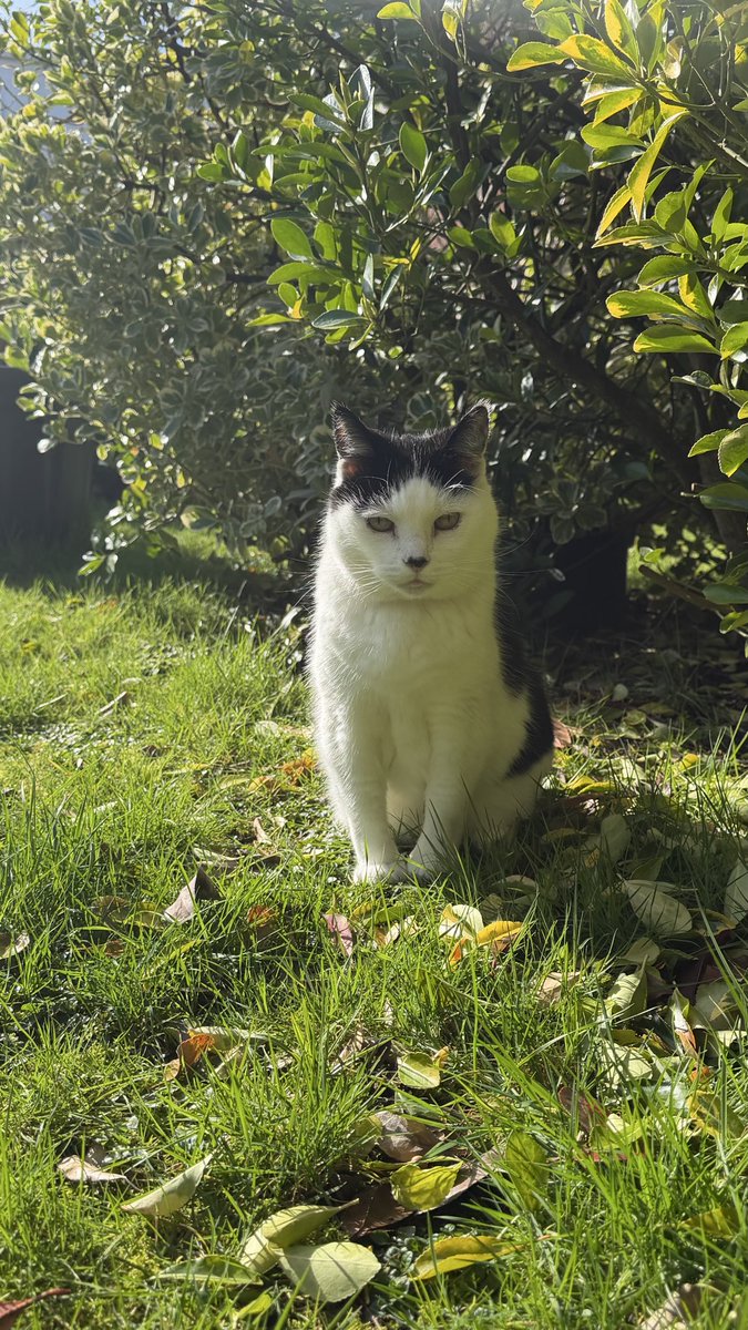 Anne Saville tweet media