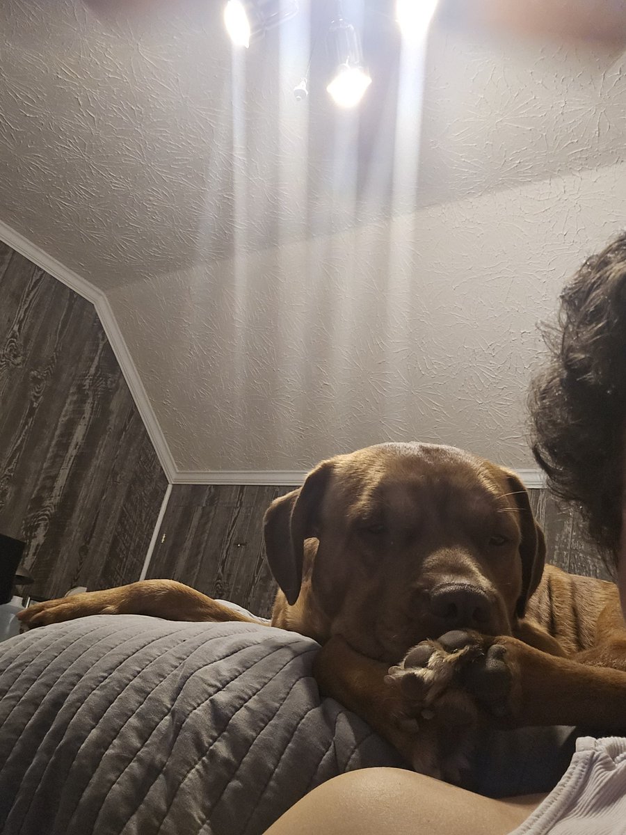 MoreLifeMic tweet media