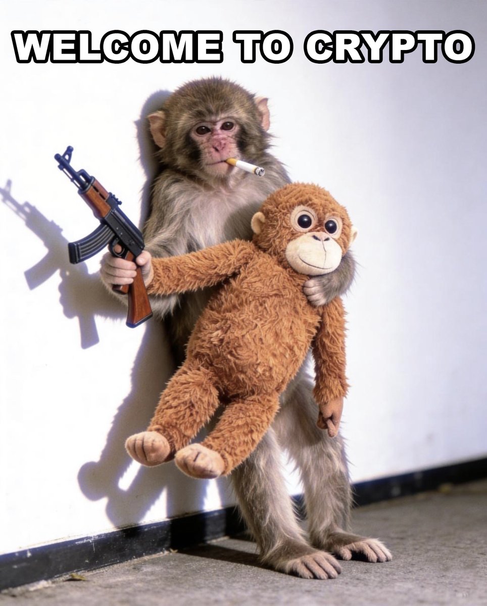 STEEZYFRESH tweet media