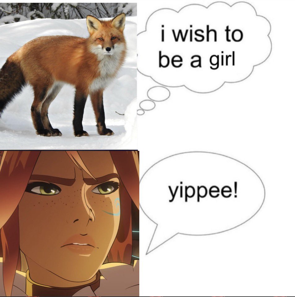 luma ⁴² 𝄞₊ ⊹ᶠʳᵉʲᵃ ᶜᴱᴼ tweet media