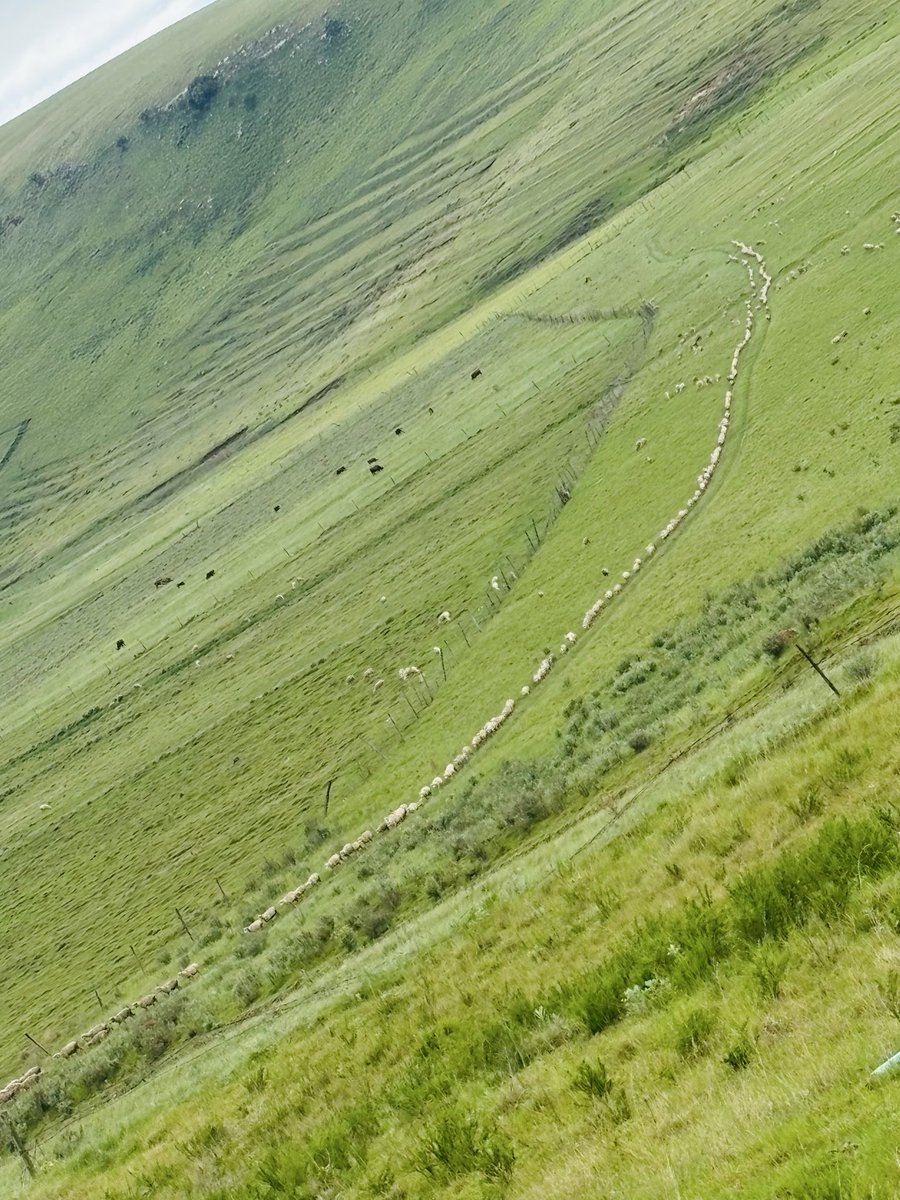 #FetchYourBody2026 
#VitalityActiveRewards
#VitalityChamps
<a href="/Vitality_SA/">Discovery Vitality</a> Therapy is done