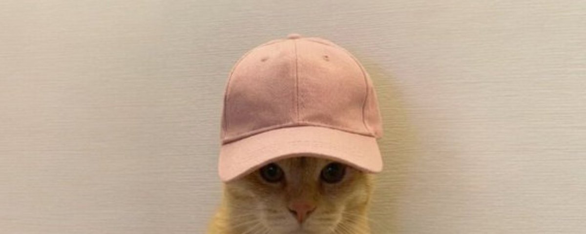 catwidcap