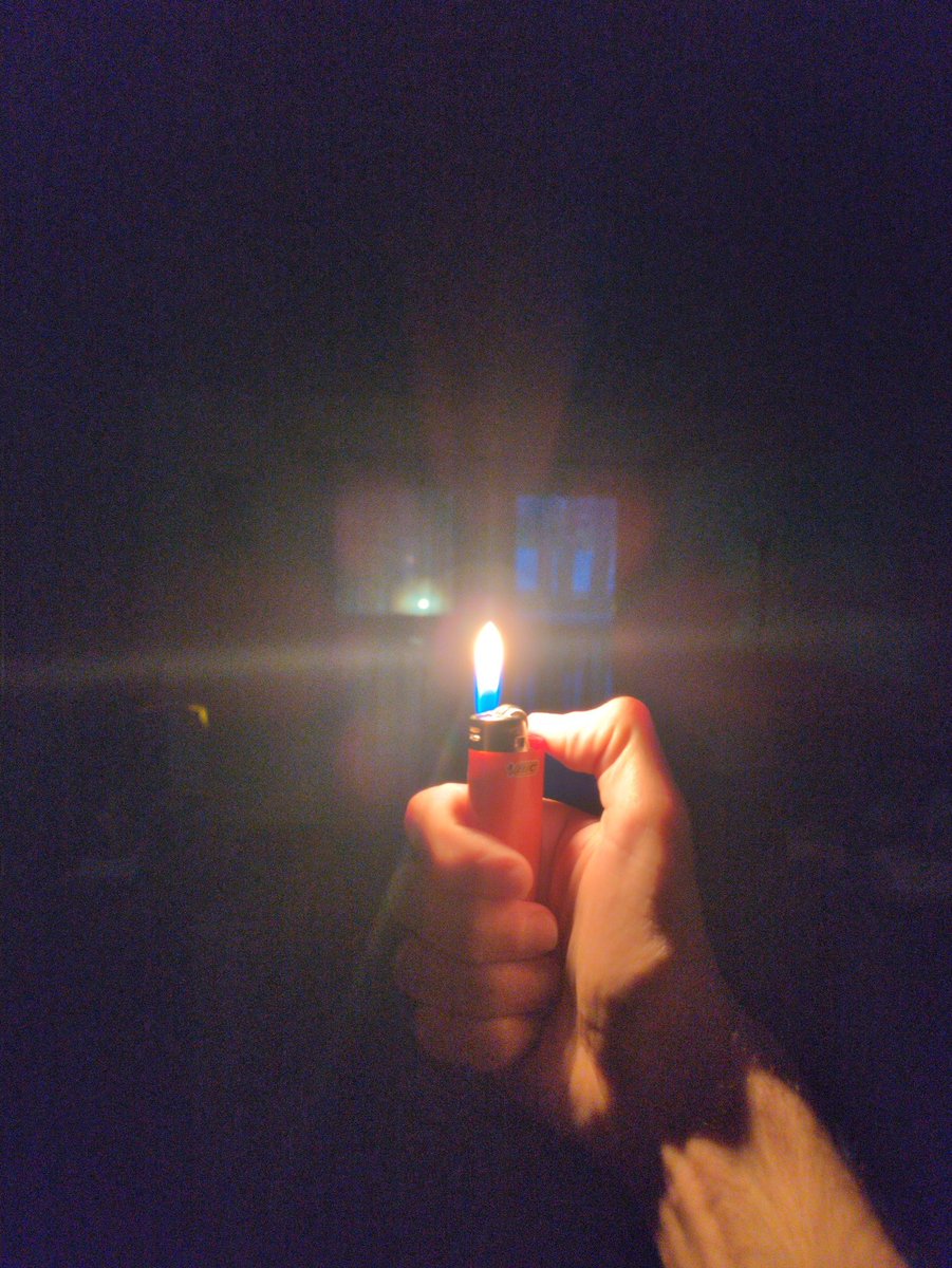 Genji🐾 tweet media