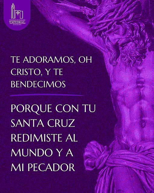 Seguidores de Asís (@seguidoresofs) on Twitter photo 