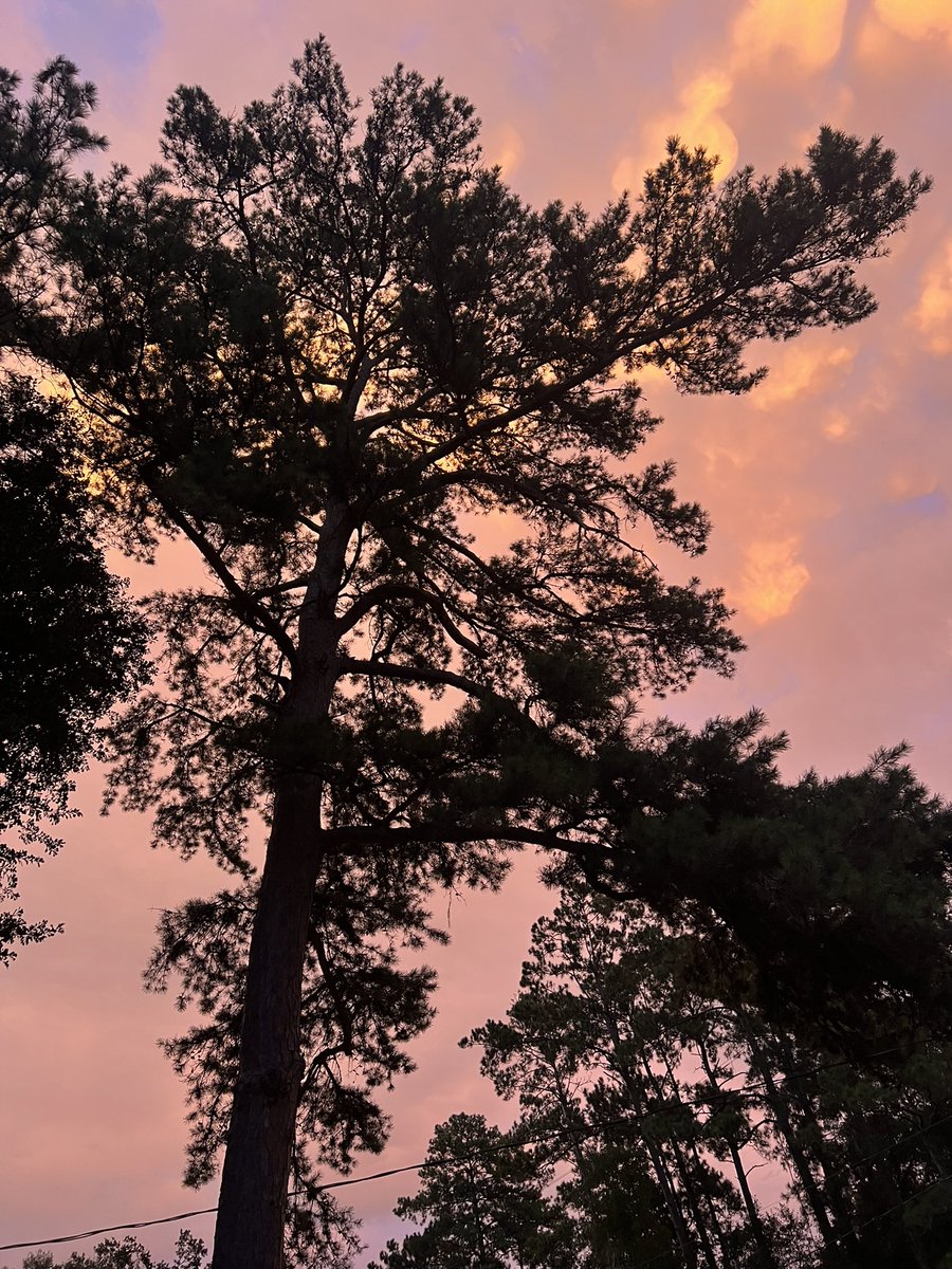 ORIGIN🅰️L 𝕯𝖊𝕱𝖎𝖆𝖓𝖙 tweet media