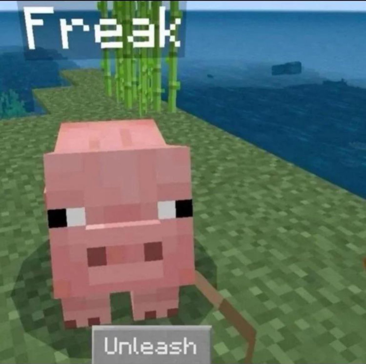 Conlash 💫 tweet media