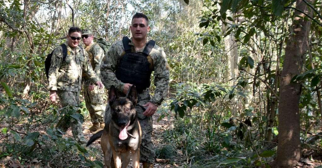 The American Red Cross of Nevada tweet media