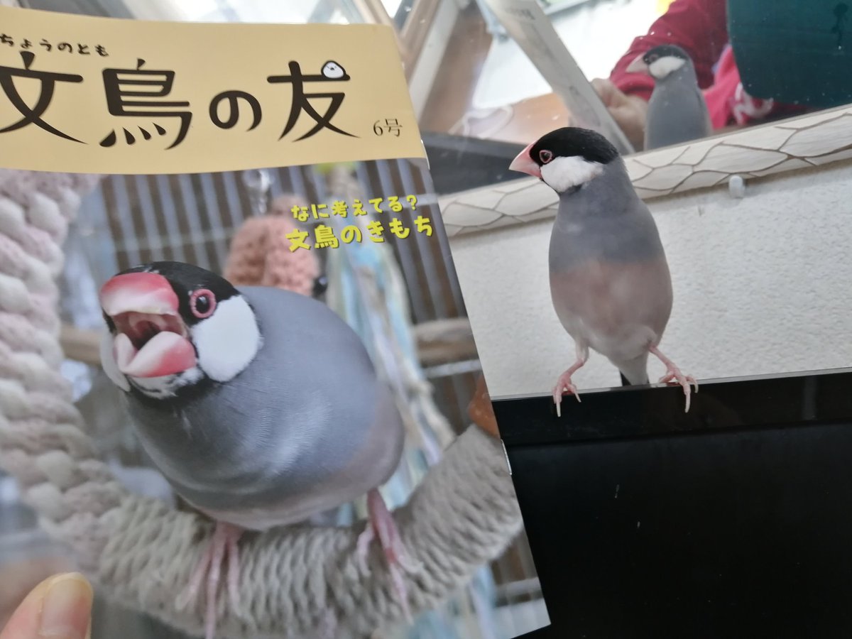 岩本育代@ぴーまま tweet media