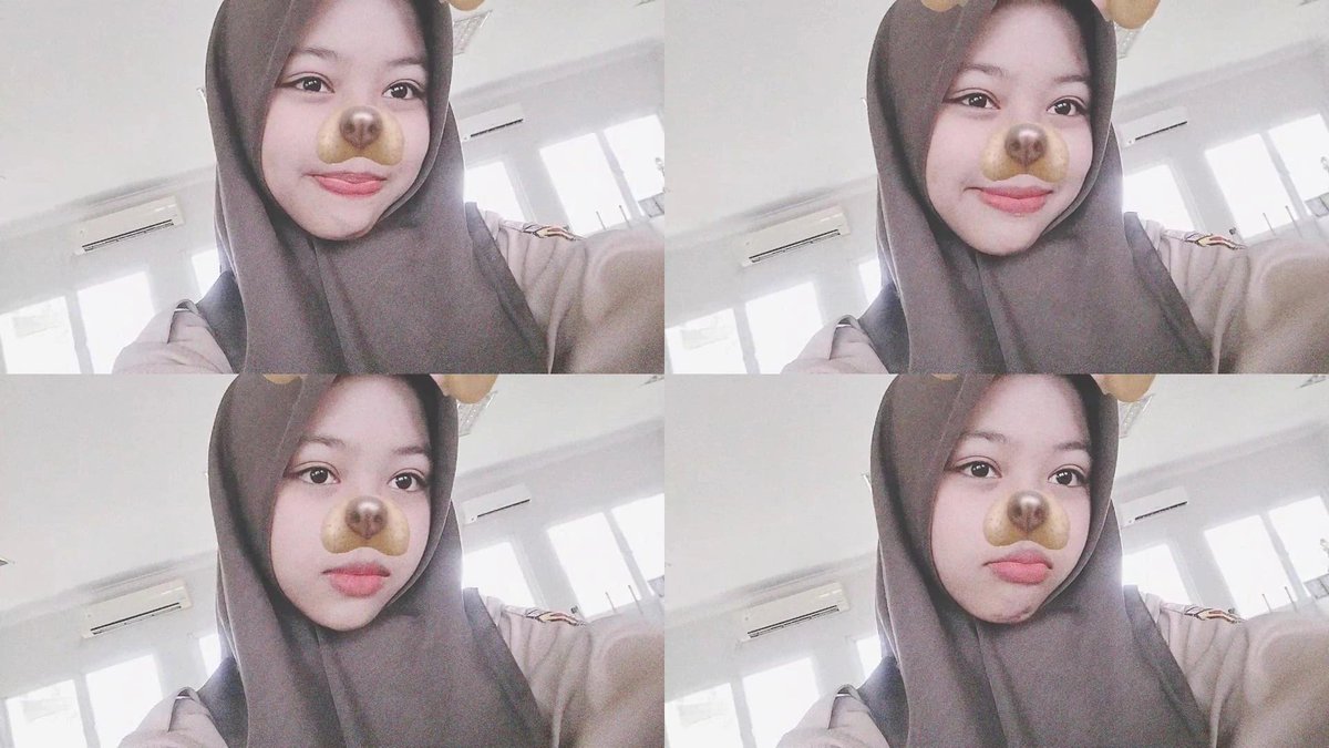 cey canyon 🦭 tweet media