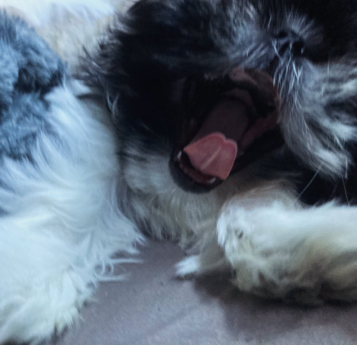 Crowbar Jones 🥘🔪 tweet media