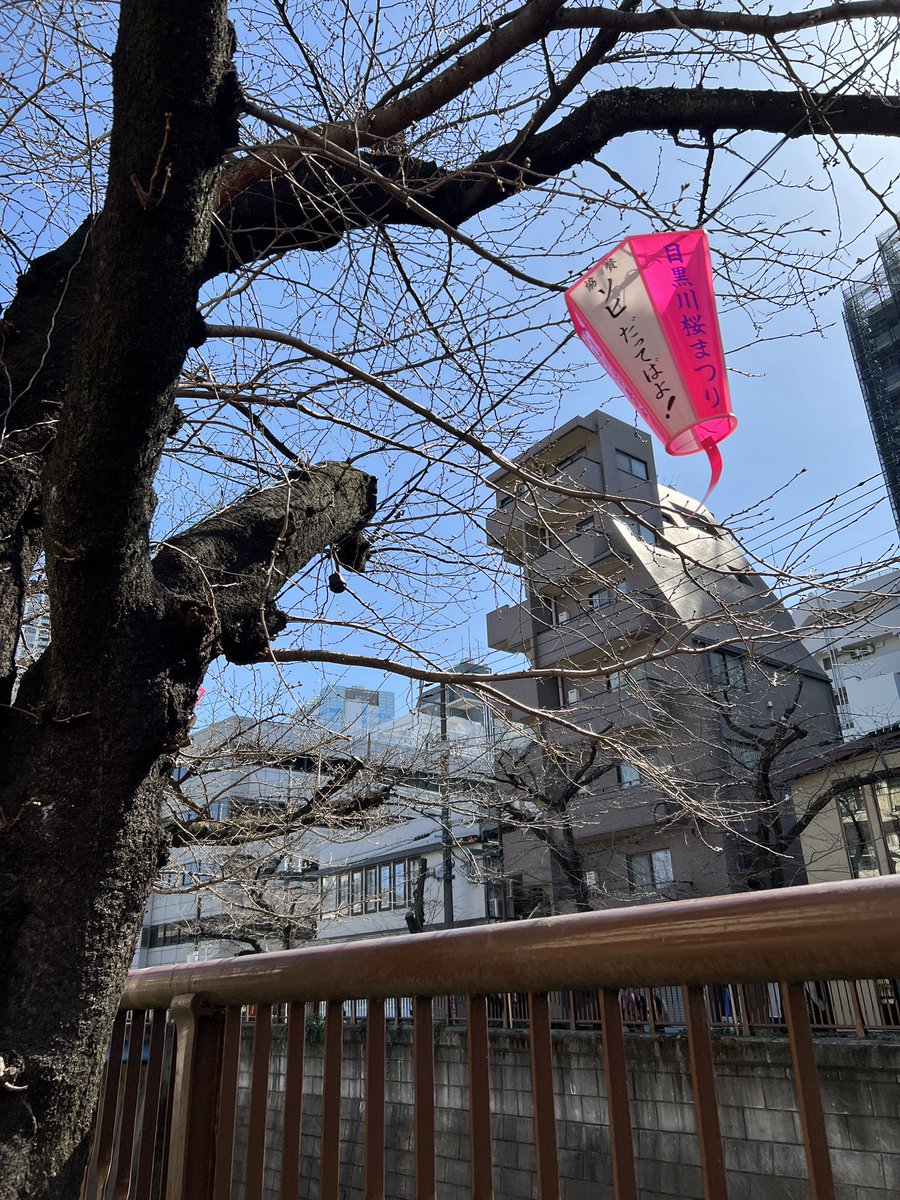 ソヒちゃんのぼんぼり発見✨✨