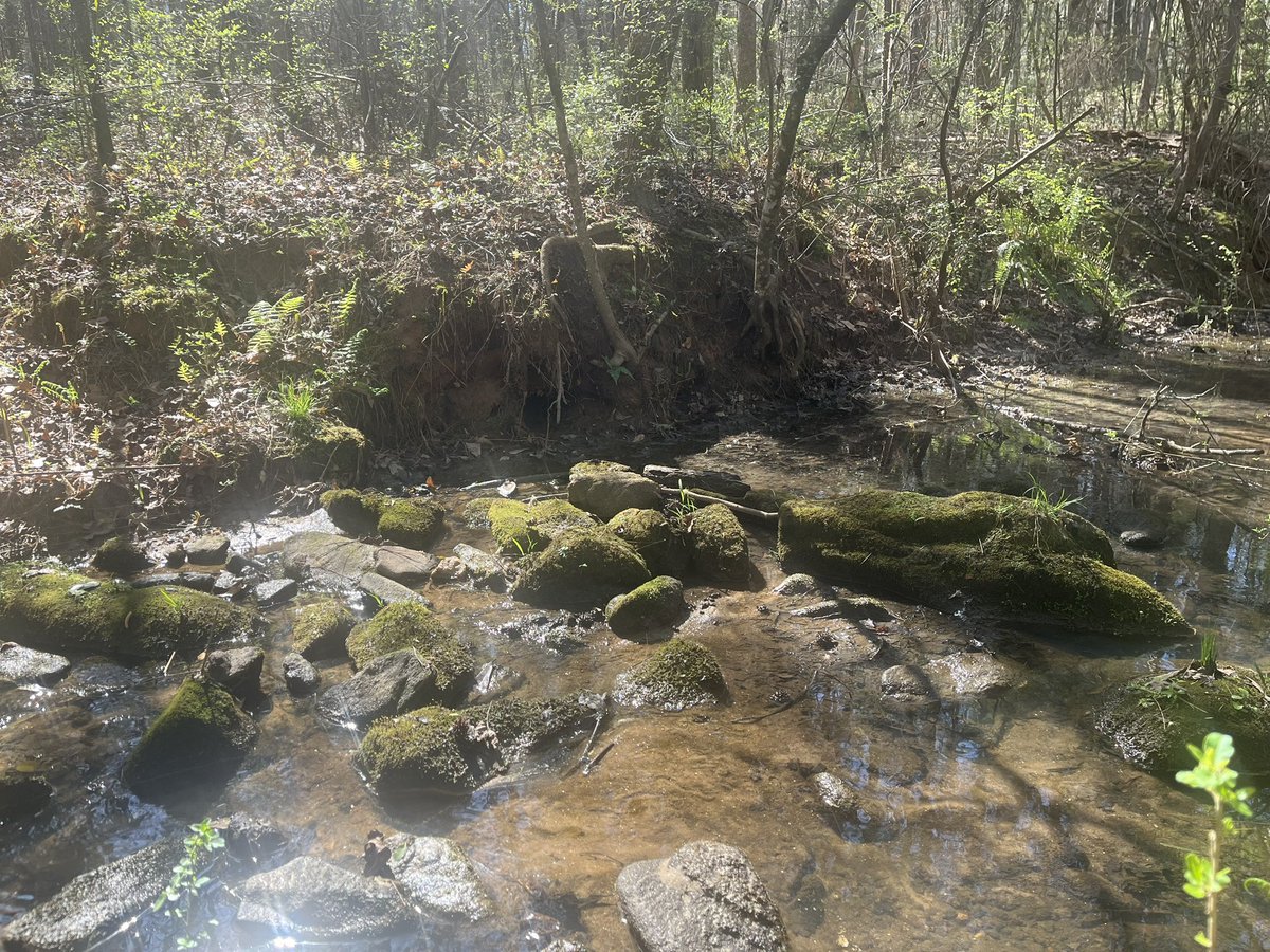 bruce_fike's tweet photo. Heading out to Kreher Nature Preserve tomorrow.  One last shot.  Homestead Still feels like where locals turn up.  The Monolith is my Golem and circle on the coin.  The still is the end point of coin line.  Short line goes to creek / river.  How am I doing @JonCollinsBlack??? https://t.co/hkJbir3W3N