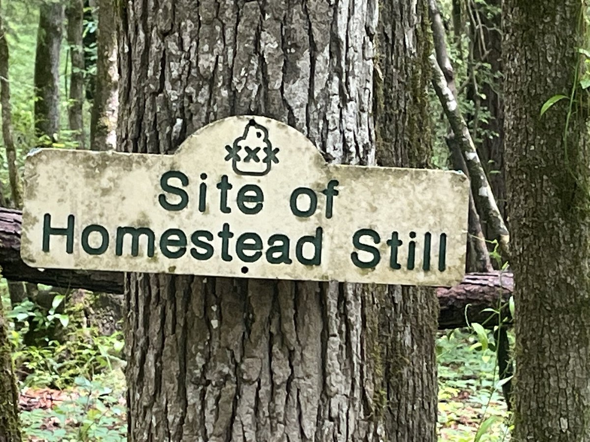bruce_fike's tweet photo. Heading out to Kreher Nature Preserve tomorrow.  One last shot.  Homestead Still feels like where locals turn up.  The Monolith is my Golem and circle on the coin.  The still is the end point of coin line.  Short line goes to creek / river.  How am I doing @JonCollinsBlack??? https://t.co/hkJbir3W3N