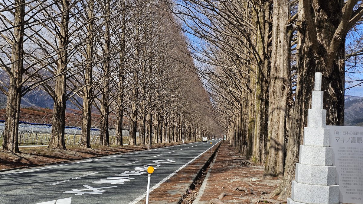 七海ルビー🐈‍⬛🦒@ｺﾊﾞﾄﾞﾗ殺すマン tweet media