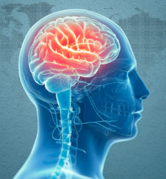 VoiceOfIslamUK's tweet photo. How has the human brain evolved over time?
Tune in to Science Hour today to find out & delve into the history of psychiatry & explore the development of the structure & functions of the human brain.
Listen back: https://t.co/Peo1WDaDrm
#HumanBrain #BrainEvolution https://t.co/I2lxFxG8Ze