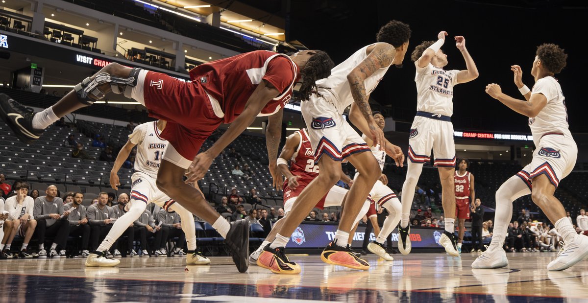 Harvey Levine tweet media