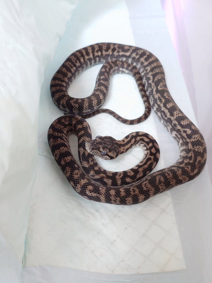 山と海 tweet media