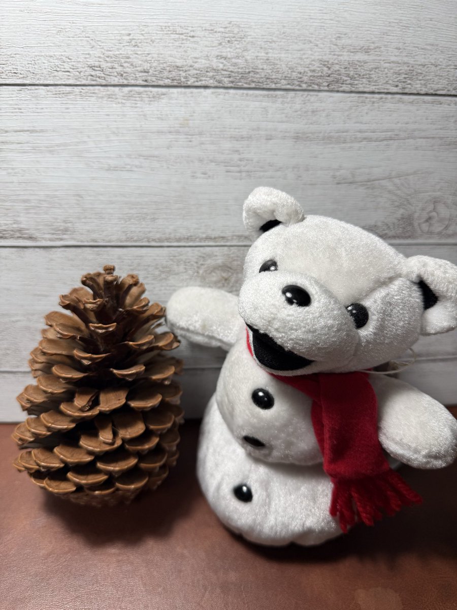 みなさまお久しぶりです
最近ほぼ見れていなかった間にお茶会の気配を感じた🐻‍❄️です。
この冬、こんなに大きくなりました！
(生存報告です。🐻‍❄️は元気に過ごしております)