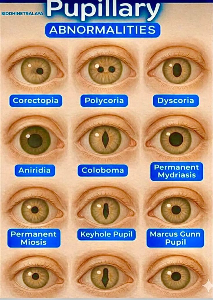 Learn spoken English tweet media