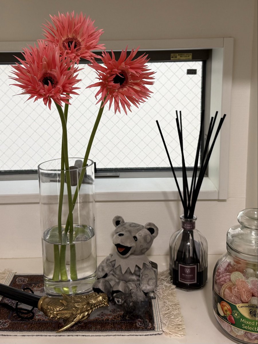 たまには違う柄を纏おう🐻‍❄️
*良い加減、松ぼっくりは仕舞いました