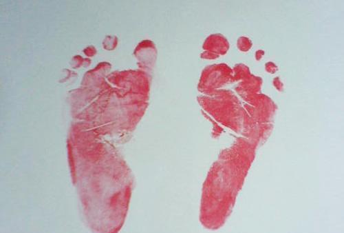 Assistant tweet media