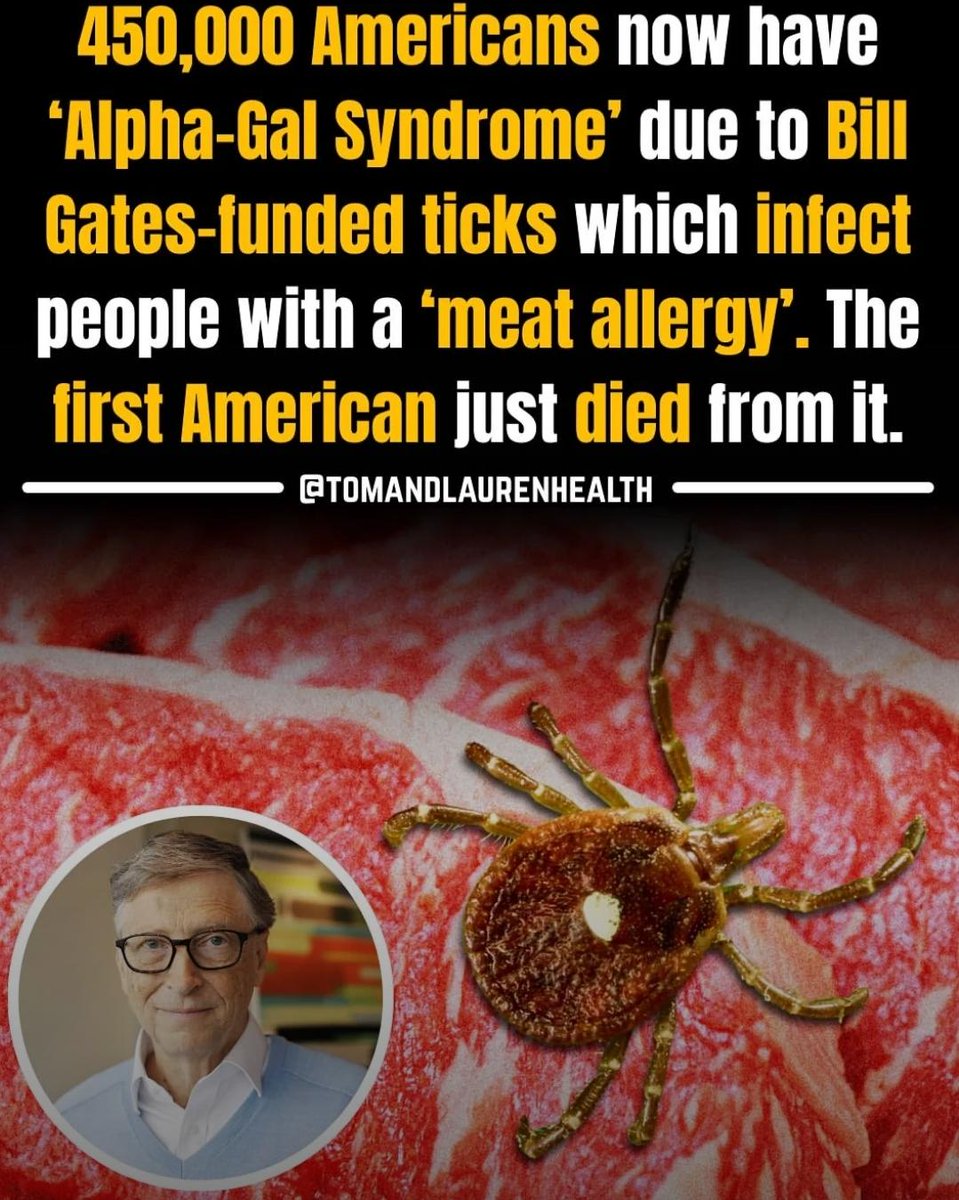 Fight With Memes tweet media