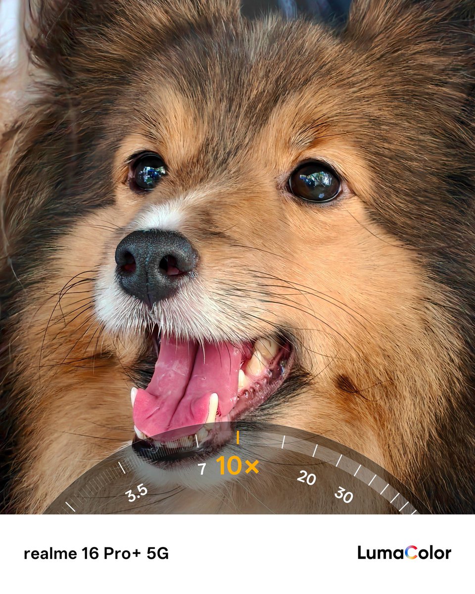 🅞🅟🅨✨ tweet media